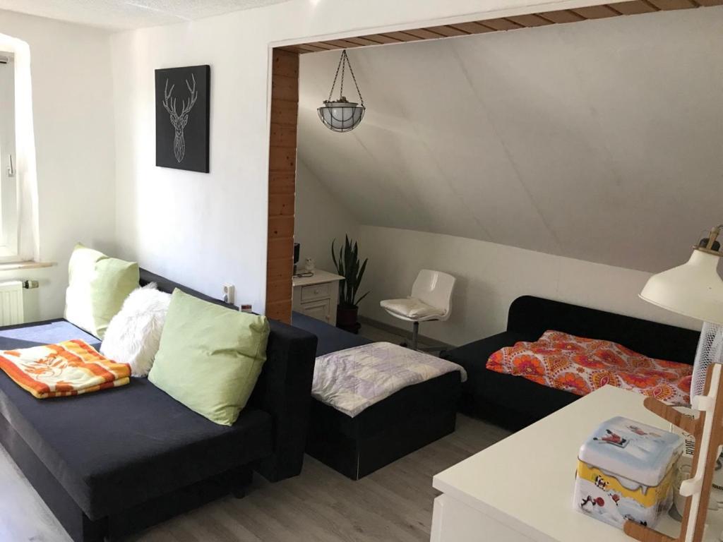 Ferienwohnung Im Einfamilienhaus, Automobil Und Robert Schumann Stadt Zwickau Exteriér fotografie